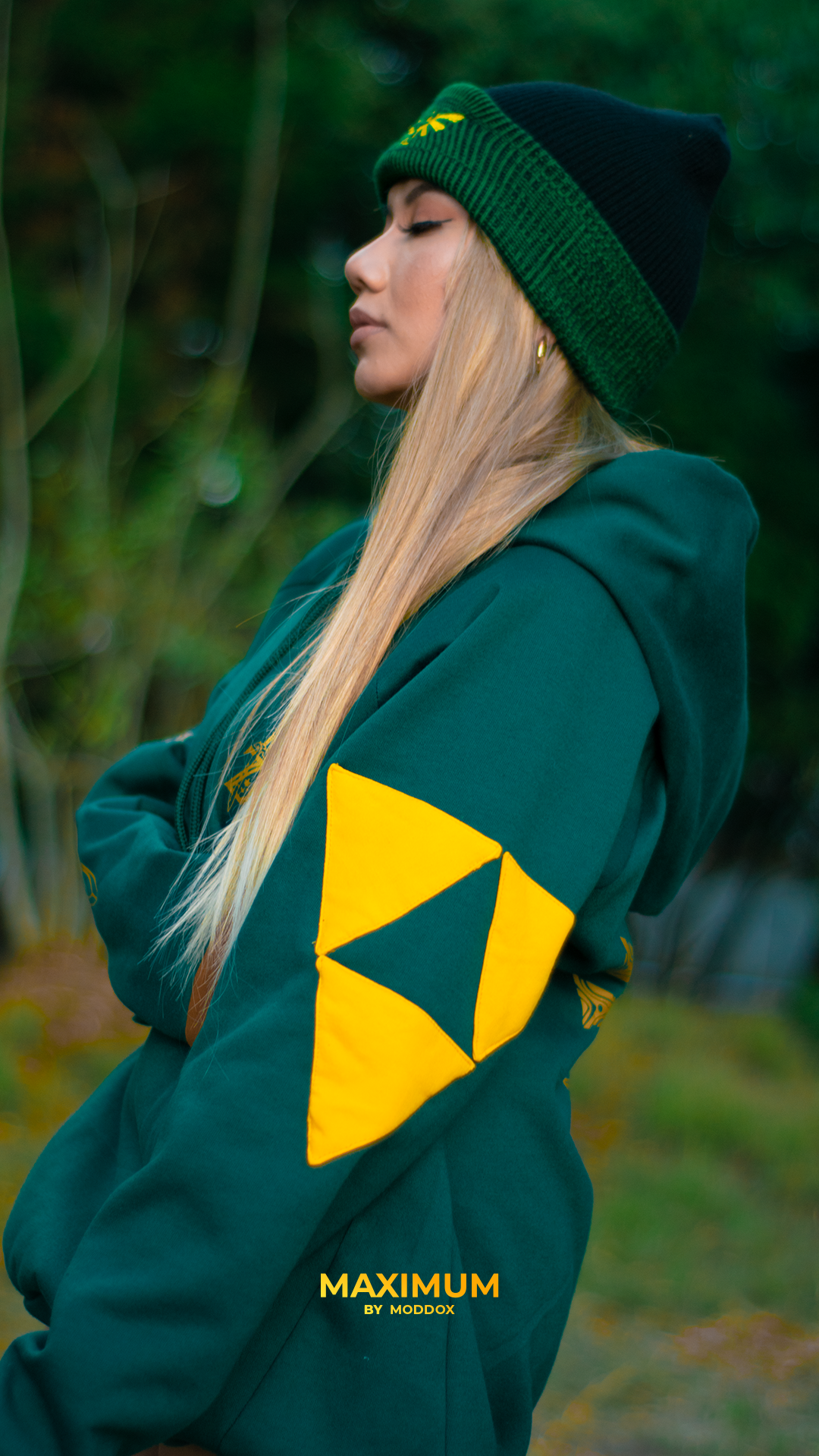 Hoodie | The Legend Of Zelda | Link Awakening