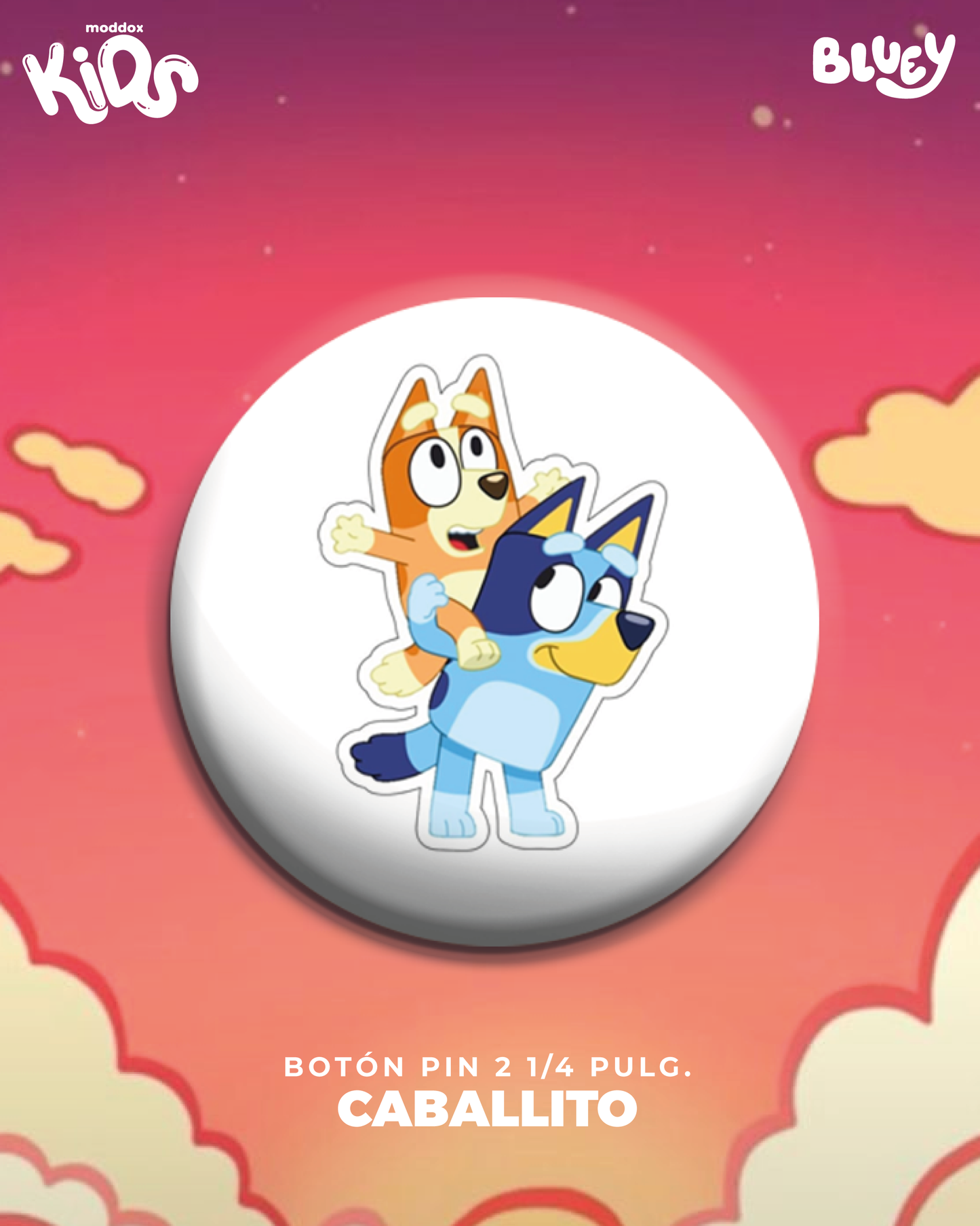 Pin | Bluey | Family