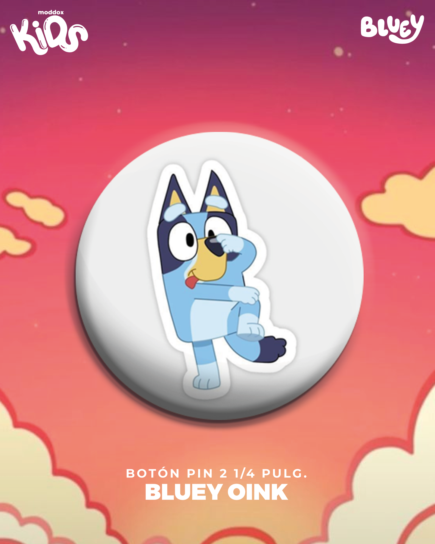 Pin | Bluey | Family