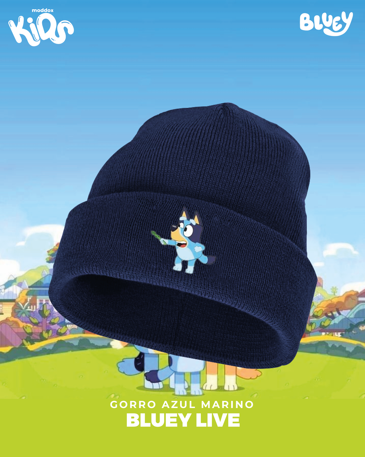 Gorros | Bluey | Bluey Live