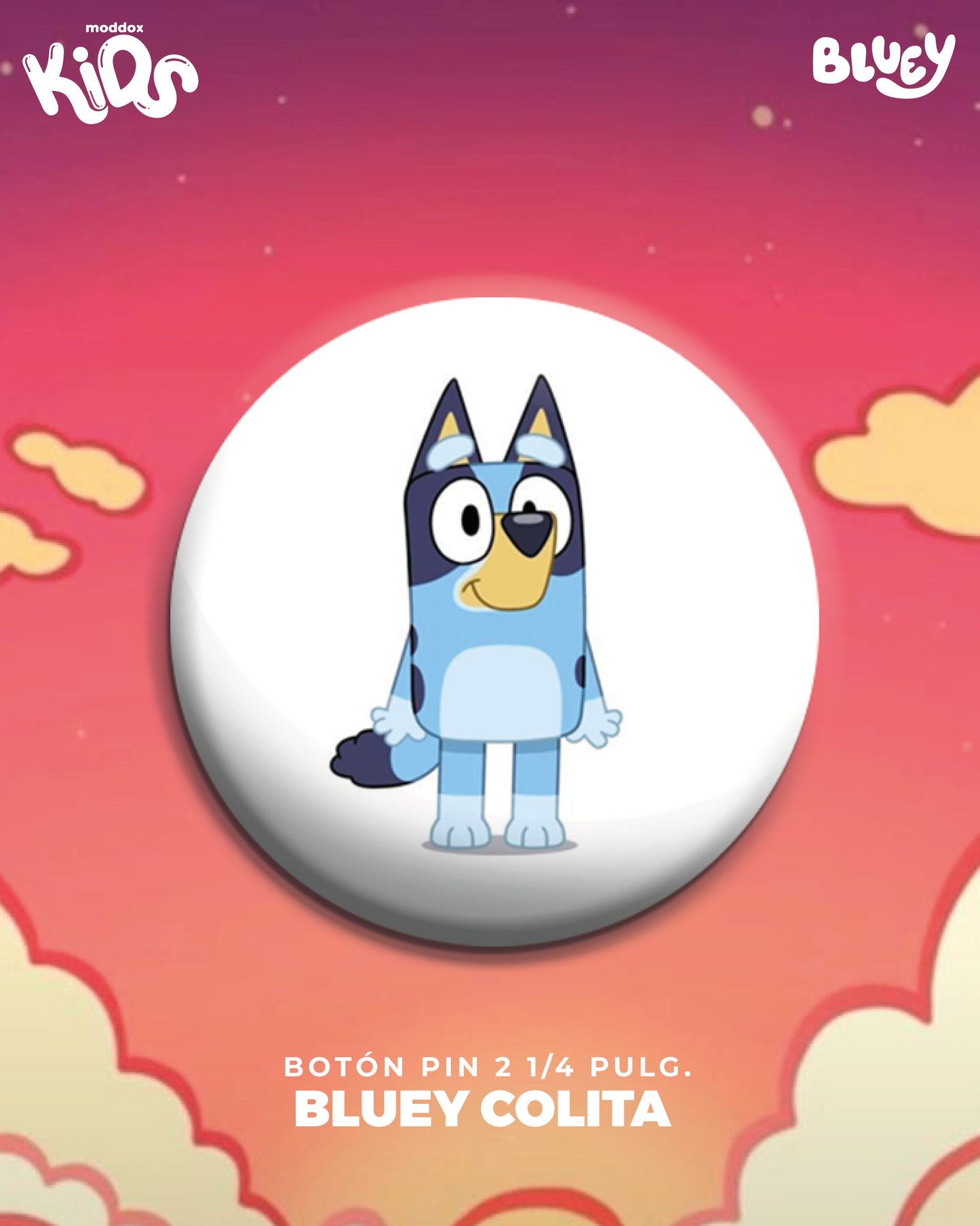 Pin | Bluey | Family