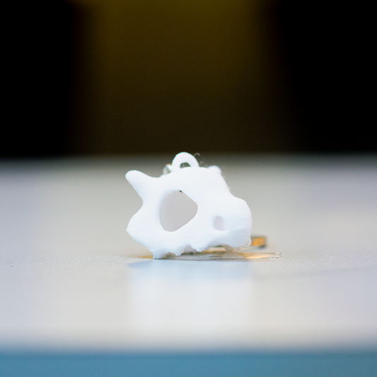 Llavero | Pokémon | Cubone