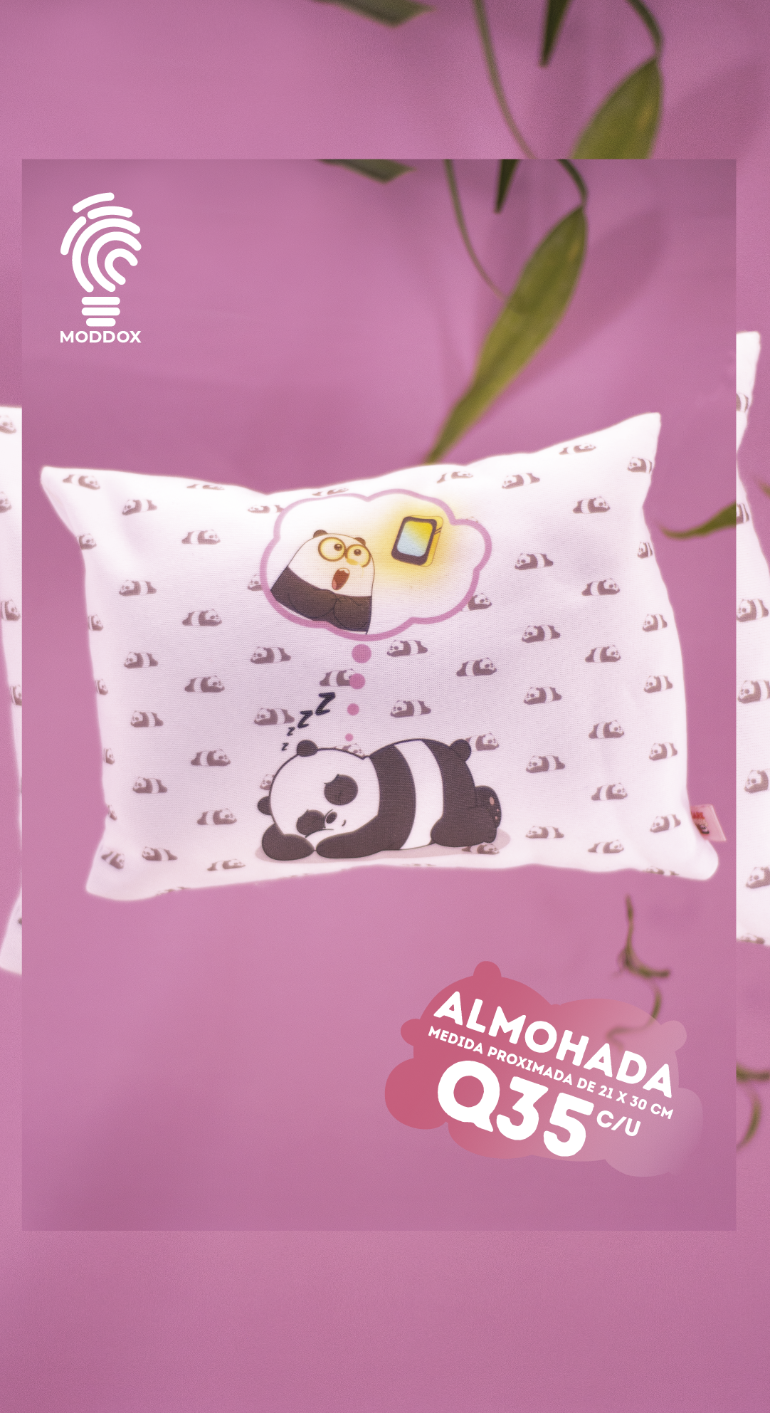 Almohada | Escandalosos | Panda