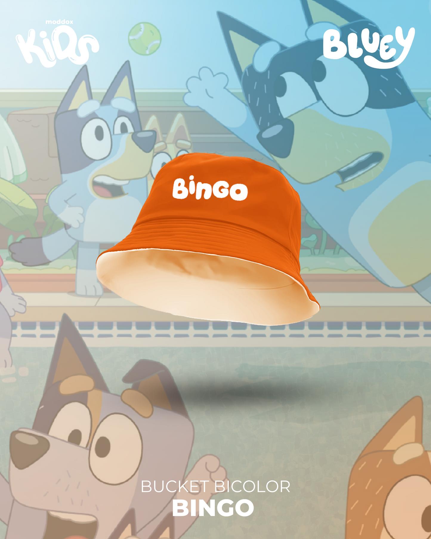 Bucket | Bluey | Bingo